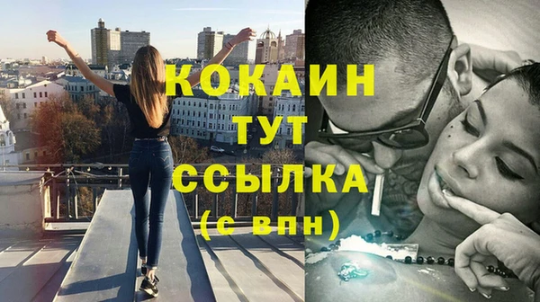 2c-b Дмитриев