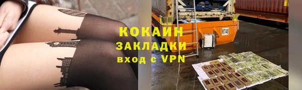 2c-b Дмитриев
