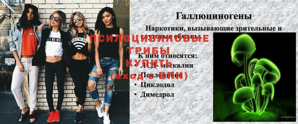 2c-b Дмитриев