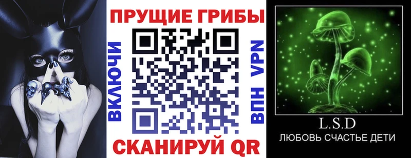 кракен как войти  Саранск  Галлюциногенные грибы GOLDEN TEACHER 